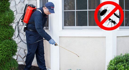 Yurdoğlu Kemirgen İlaçlama böcek ilaçlama ve haşere kontrolü — ilaclama-tr.com